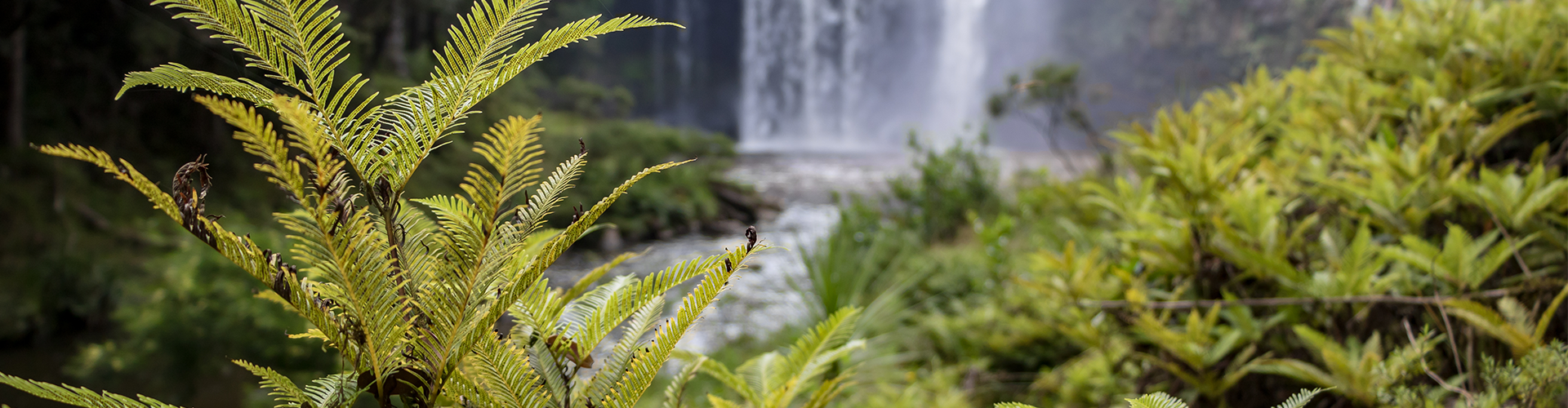 Sustainablilty Low Cost Bins